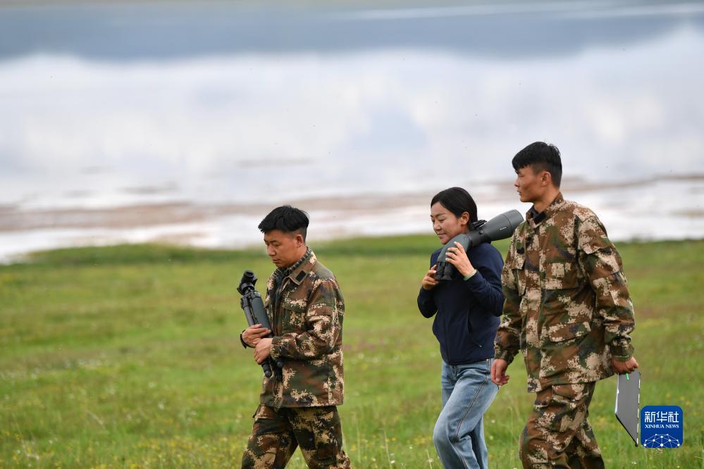 可吸式捕鱼发电机后级